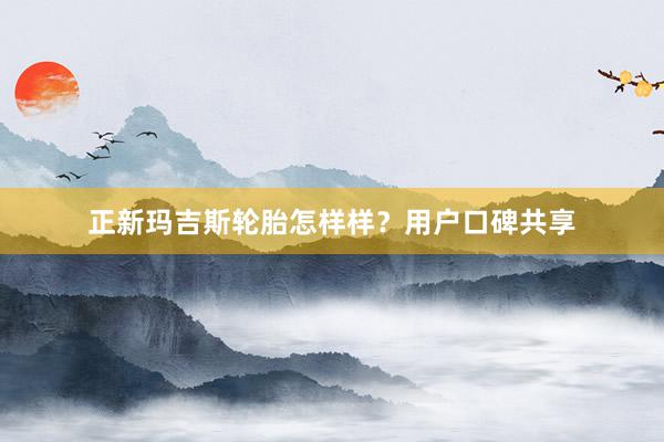 正新玛吉斯轮胎怎样样？用户口碑共享