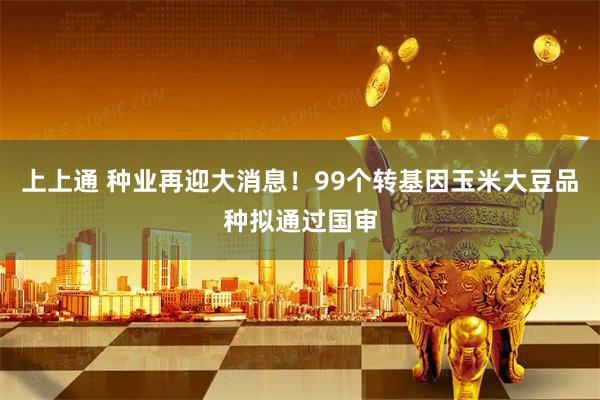 上上通 种业再迎大消息！99个转基因玉米大豆品种拟通过国审